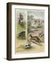 Pig Sticking and Hunting the Kangaroo-null-Framed Giclee Print