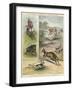 Pig Sticking and Hunting the Kangaroo-null-Framed Giclee Print