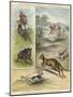Pig Sticking and Hunting the Kangaroo-null-Mounted Giclee Print