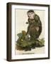 Pig Tailed Baboon-null-Framed Giclee Print