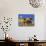 Pig with Daffodils in Bushel-Lynn M^ Stone-Mounted Photographic Print displayed on a wall