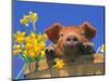 Pig with Daffodils in Bushel-Lynn M^ Stone-Mounted Photographic Print