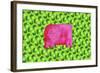 Pig with Green Apples, 2003-Julie Nicholls-Framed Giclee Print