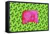 Pig with Green Apples, 2003-Julie Nicholls-Framed Stretched Canvas