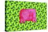 Pig with Green Apples, 2003-Julie Nicholls-Stretched Canvas