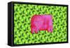 Pig with Green Apples, 2003-Julie Nicholls-Framed Stretched Canvas