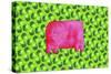 Pig with Green Apples, 2003-Julie Nicholls-Stretched Canvas