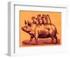 Pig with its Piglets, Illustration from 'Cole's Funny Picture Book' (Digitally Enhanced Image)-English-Framed Premium Giclee Print