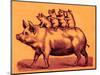Pig with its Piglets, Illustration from 'Cole's Funny Picture Book' (Digitally Enhanced Image)-English-Mounted Premium Giclee Print