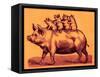 Pig with its Piglets, Illustration from 'Cole's Funny Picture Book' (Digitally Enhanced Image)-English-Framed Stretched Canvas