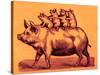 Pig with its Piglets, Illustration from 'Cole's Funny Picture Book' (Digitally Enhanced Image)-English-Stretched Canvas