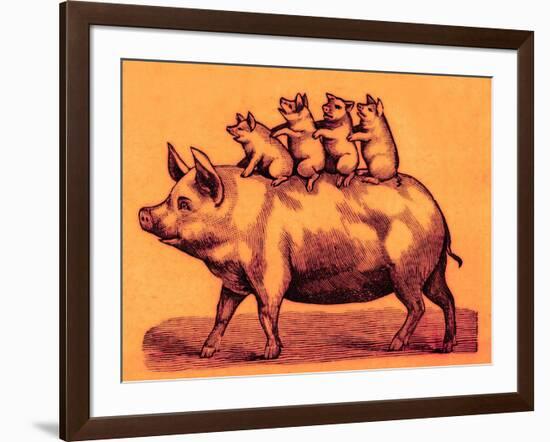 Pig with its Piglets, Illustration from 'Cole's Funny Picture Book' (Digitally Enhanced Image)-English-Framed Giclee Print