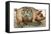 Pig with Toys Strapped to its Side-null-Framed Stretched Canvas