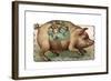 Pig with Toys Strapped to its Side-null-Framed Giclee Print