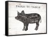 Pig Words-Jace Grey-Framed Stretched Canvas