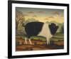 Pig-Diane Ulmer Pedersen-Framed Art Print