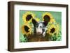 Pig-null-Framed Photographic Print