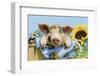 Pig-null-Framed Photographic Print