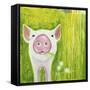 Pig-Michelle Faber-Framed Stretched Canvas