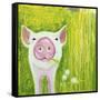 Pig-Michelle Faber-Framed Stretched Canvas
