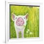 Pig-Michelle Faber-Framed Giclee Print
