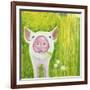 Pig-Michelle Faber-Framed Giclee Print