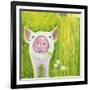 Pig-Michelle Faber-Framed Giclee Print