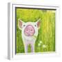 Pig-Michelle Faber-Framed Giclee Print