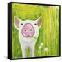 Pig-Michelle Faber-Framed Stretched Canvas