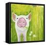Pig-Michelle Faber-Framed Stretched Canvas