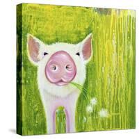 Pig-Michelle Faber-Stretched Canvas