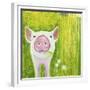 Pig-Michelle Faber-Framed Giclee Print