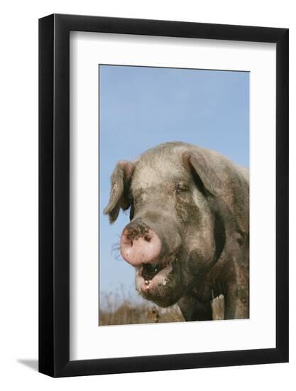 Photographic Print, , large