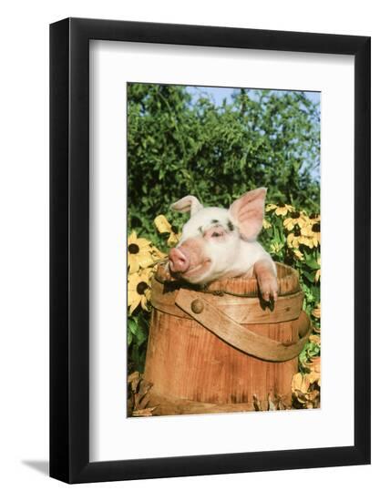 Photographic Print, , large