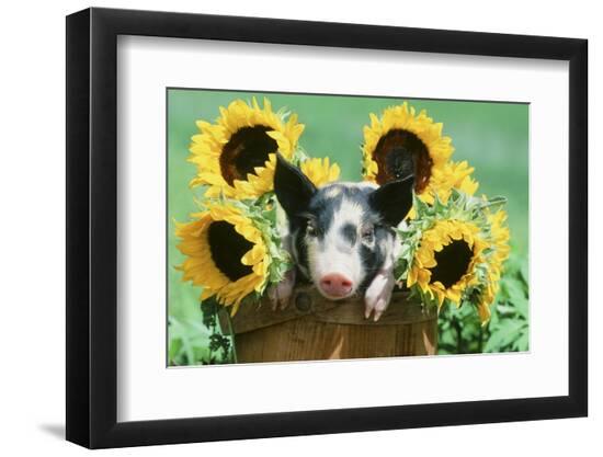 Photographic Print, , large