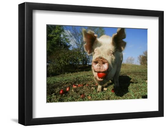 Photographic Print, , large