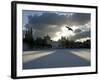 Pigeon Flies over a Frozen Pond Outside Novodevichi in Moscow-null-Framed Photographic Print