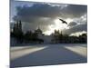 Pigeon Flies over a Frozen Pond Outside Novodevichi in Moscow-null-Mounted Photographic Print