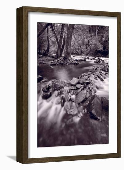 Pigeon Forge River Great Smoky Mountains BW-Steve Gadomski-Framed Photographic Print