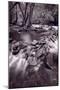 Pigeon Forge River Great Smoky Mountains BW-Steve Gadomski-Mounted Photographic Print