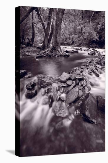 Pigeon Forge River Great Smoky Mountains BW-Steve Gadomski-Stretched Canvas