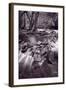 Pigeon Forge River Great Smoky Mountains BW-Steve Gadomski-Framed Photographic Print