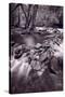 Pigeon Forge River Great Smoky Mountains BW-Steve Gadomski-Stretched Canvas