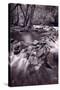 Pigeon Forge River Great Smoky Mountains BW-Steve Gadomski-Stretched Canvas