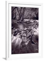 Pigeon Forge River Great Smoky Mountains BW-Steve Gadomski-Framed Photographic Print