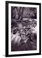 Pigeon Forge River Great Smoky Mountains BW-Steve Gadomski-Framed Photographic Print