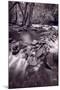 Pigeon Forge River Great Smoky Mountains BW-Steve Gadomski-Mounted Photographic Print