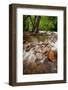 Pigeon Forge River, Great Smoky Mountains-Steve Gadomski-Framed Photographic Print