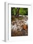 Pigeon Forge River, Great Smoky Mountains-Steve Gadomski-Framed Photographic Print