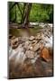 Pigeon Forge River, Great Smoky Mountains-Steve Gadomski-Mounted Photographic Print